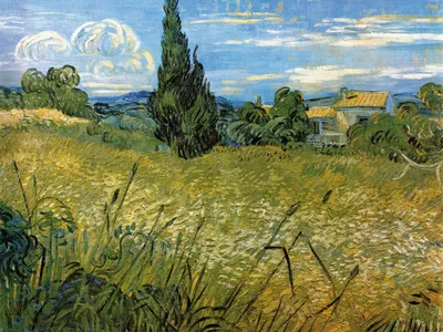 Obrázok produktu pre Vincent Van Gogh Art Print Obraz - Zelené pšeničné pole s cyprusom, 1889 (60 x 80 cm)