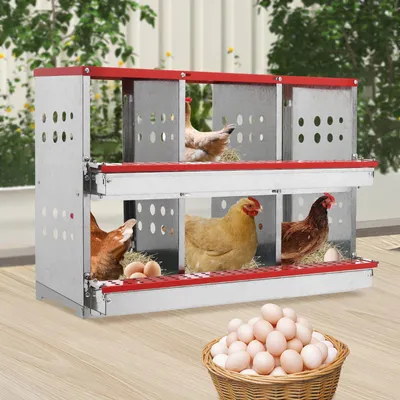 Image de Poulailler - Nid pour poules - Cage à poules - Nichoir - Poulailler avec nid - Autonome, avec 6 compartiments