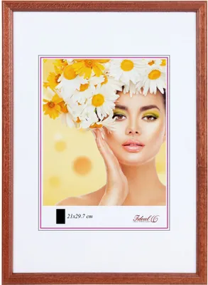 A framed picture of a woman with flowers in her hair.