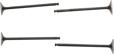 Obrázek produktu pro Cylinder Head Valves