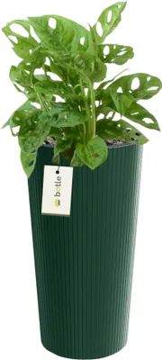 Obrázek produktu pro Kulatý květináč Ø 25 cm H 48 cm Zelený elegantní vysoký pruh