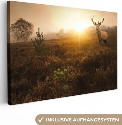 Obrázok produktu pre OneMillionCanvasses® - Obrazy na plátne - 140x90 cm, Deer - Fog - Sunset, nástenné umenie Print Wall Decoration