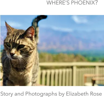Produktbild von Where's Phoenix?