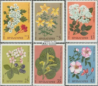 Produktbild von Briefmarken Bulgarien 1981 Mi 2963-2968 (kompl.Ausg.) postfrisch Heilpflanzen
