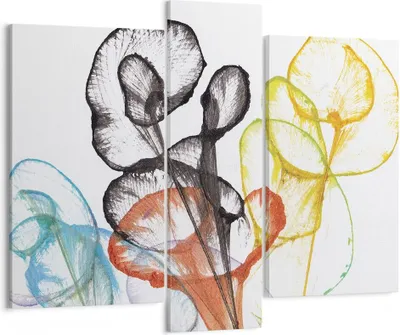 Produktbild von Bild auf Leinwand - Leinwandbild - 3 Teile - Blumen Abstraktion Surrealismus - 95x80cm - Wand Bild - Wanddeko - Wandbilder - Leinwanddruck - Bilder - Wanddekoration - Leinwand bilder - CB95x80-4444