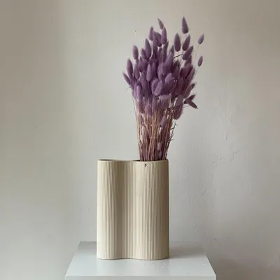 Produktbild von Lagurus Hasenschwanz Samtgras Trockenblumen 60-70cm DIY Blumendeko Naturdeko
