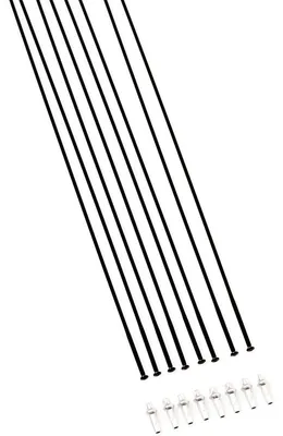 Produktbild von Dt Swiss Arc 1100 Dicut Disc 80 Road Speichen Schwarz Schwarz One Size