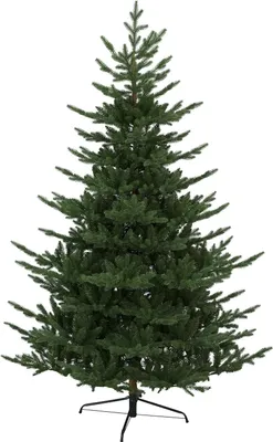 Produktbild von Weihnachtsbaum'Brekstad', 210x150cm, PE/PVC MIX