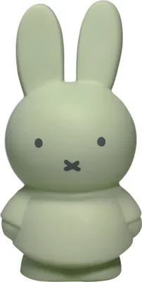 Produktbild von Atelier Pierre Miffy Mini Spardose Eucalyptus