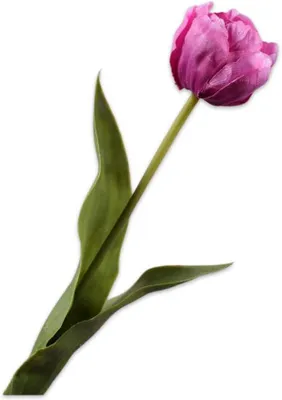 Zdjęcie produktu dla Sztuczne tulipany, łodygi, 47 cm, 2 sztuki, wykonane z jedwabiu, do dekoracji