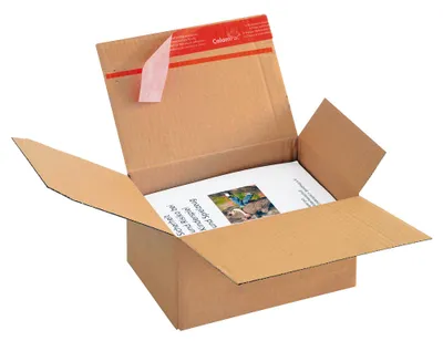Produktbild von ColomPac® Versandkartons Blitzbodenkartons 21,8 x 16,3 x 11,9 cm, 10 St.