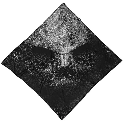 Produktbild von HAD Uni Multifunktionstuch TEC Bandana , Plankes - Schwarz