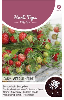 Produktbild von Monatserdbeere Pillensaat | Erdbeersamen von Hortitops