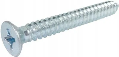 Productafbeelding van Neron zelfborende schroef met kegelkop, 3,9x16mm, verzinkt, 1000 stuks