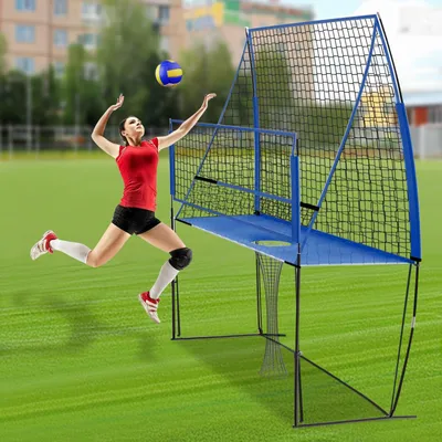 Immagine prodotto di Rete da pallavolo - Rete per allenamento - Rete sportiva - Rete da allenamento - Rete regolabile - Blu - Altezza regolabile 1,98-2,40 m