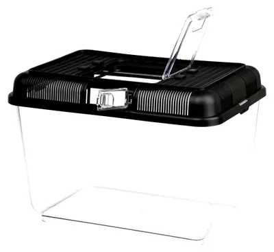 Produktbild von Transport- und Fütterungsbox, 31 × 21 × 21 cm