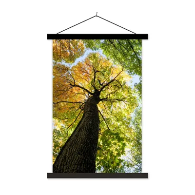 Produktbild von MuchoWow® Textilposter Baum - Natur - Wald 120x180 cm mit schwarzem Rahmen - Fotos