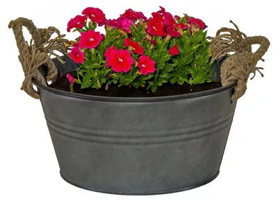 Produktbild von Mega Collections Kubel/Pflanztopf Old Rope -Zink - anthrazit - D23 X 11 cm