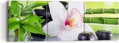 Produktbild von Bild auf Leinwand - Leinwandbild - blume orchidee - 90x30cm - Wand Bild - Wanddeko - Wandbilder - Leinwanddruck - Bilder - Kunstdruck - Wanddekoration - Leinwand bilder - Wandkunst - CA90x30-3659