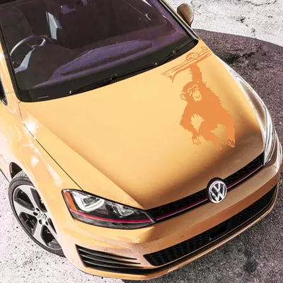 Produktbild von Aufkleber - Autoaufkleber "Schimpanse" 50cm x 31cm orange - Tuning Carystyling Heckscheibe Auto