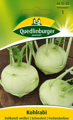 Produktbild von Quedlinburger Saatgut - Kohlrabi Delikateß weißer - Samen - 443232