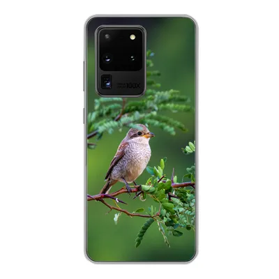 Produktbild von MuchoWow® Handyhülle Schutzhülle Hülle für Samsung Galaxy S20 Ultra Vogel - Baum - Wald Silikon Softcase Handy Hülle - Karteninhaber