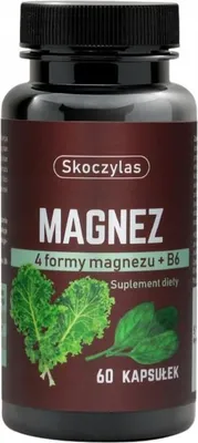 Image de Skoczylas Magnésium + B6 Épinards et chou vert 60 k