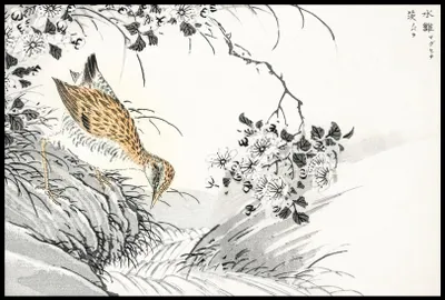 Immagine prodotto di Poster 91,5x61cm Sandpiper, Kashu Giapponese Vintage per il salotto