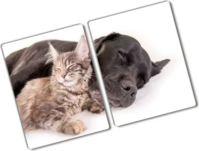 Produktbild von Tulup Glas Herdabdeckplatte - 2x40x52 cm - Glaskeramikkochfeld-Abdeckung Spritzschutz Glasabdeckplatte Kochplattenabdeckung und Schneidebrett - Zweiteilig - Tiere - Hund und Katze - Braun