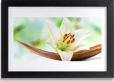Produktbild von Bild 30x20 MDF-Rahmen Wandkunst Natur Blume Pflanze