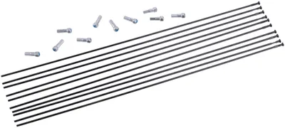 Produktbild von Mavic Aksium 2019/elite Ust/rs Linke Speichen 10 Einheiten Schwarz 282 mm Schwarz 282 mm