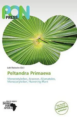 Produktbild von Peltandra Primaeva