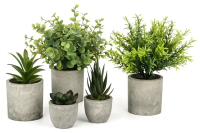 Produktbild von 5 künstliche Pflanzen, künstliche Pflanzen mit Töpfen, Plastikpflanzen mit Eukalyptus, Rosmarin und Sukkulenten, für Hochzeiten, Büros, Balkone, Wohnzimmer, Schreibtische und Badezimmer
