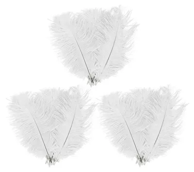 Image de Plumes de autruche naturelles - 20 pièces - 45-50 cm - Blanc