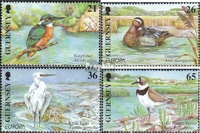 Produktbild von Briefmarken GB - Guernsey 2001 Mi 880-883 (kompl.Ausg.) postfrisch Vögel