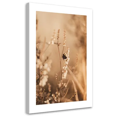 Immagine prodotto di Quadro su tela Fiori beige in un campo 40x60 Feeby Quadro beige per la parete pronto da appendere