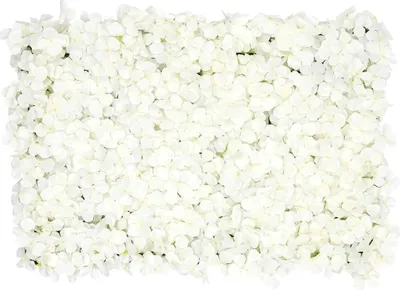Produktbild von Blumenwand - Künstliche Rosen-Wandpaneele - 20 Stück - 60×40 cm - Kunststoff - Hochzeit & Verlobung Hintergrund - Weiß