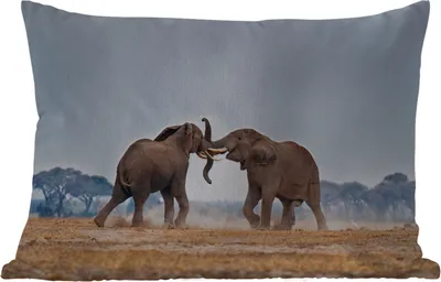 Produktbild von MuchoWow® Outdoor Kissen - Elefant - Tiere - Flachland - Natur - 60x40 cm - Wetterfest - Lounge Kissen - Zierkissen - Kissen für Innenräume
