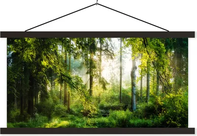 Produktbild von MuchoWow® Textilposter Wald - Sonne - Bäume 150x75 cm mit schwarzem Rahmen - Posterleiste