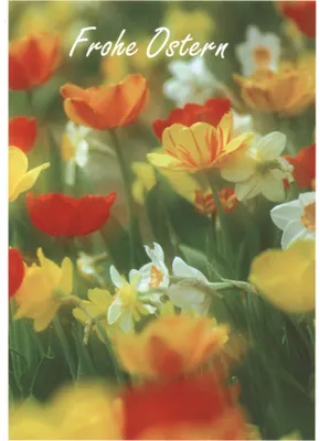 Produktbild von Ostern - Glückwunschkarte im Format 11,5 x 17 cm mit Briefumschlag