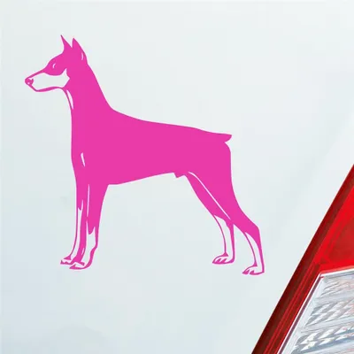 Produktbild von Auto Aufkleber Dobermann Hund Dog Animal Tier 10x10 cm Pink Sticker Heckscheibenaufkleber