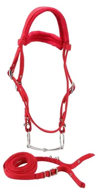 Productafbeelding van Verstelbare Teugels - Dubbel Laags Ontwerp - Hoge Dichtheid - Zachte Bekleding - Ruiteraccessoires - 20 mm Brede Band - Paardentuig