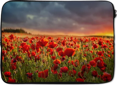 Produktbild von MuchoWow® Laptop Hülle 14 ZollSonnenuntergang - Mohnblumen - Rot - Blumen - Feld - Natur Laptoptasche - Laptoptasche - Stoßsicher - Schutzhaube
