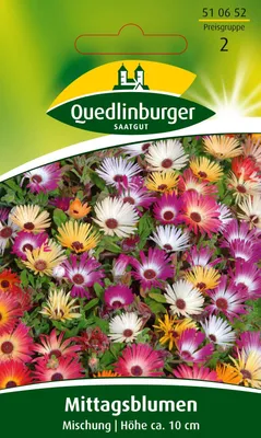 Produktbild von Quedlinburger Saatgut - Mittagsblume Mischung - Samen - 510652