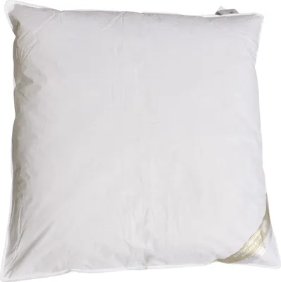 Produktbild von Betten Hofmann Kinder Flachkissen 80x80 cm Daunenkissen flaches Kopfkissen 330 g