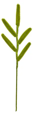 Produktbild von Fertige Pfeifenreiniger-Blumenbastelarbeit: Handgefertigte künstliche Calla-Lilie/Eukalyptus/Areca-Palme – Geschenkidee für Frauen zum Valentinstag, Muttertag, Geburtstag oder Jahrestag.