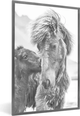 Produktbild von MuchoWow® Gerahmtes Poster Pferde - Fohlen - Fell 60x90 cm - Poster mit Schwarzem Bilderrahmen Wandposter Rahmen Foto Bilder - Kunst
