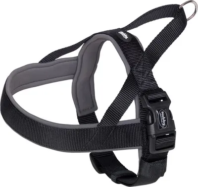 Obrázok produktu pre Nobby NORWEGER postroj "Classic Preno" D: 38-50 cm + 36 cm, Š: 20/25 mm čierna / sivá
