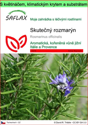 Obrázek produktu pro SAFLAX Garden to go - Skutečný rozmarýn - Rosmarinus officinalis - 100 Semena - S květináčem, klimatickou poklicí a pěstebním substrátem