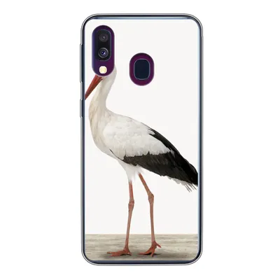 Produktbild von MuchoWow® Handyhülle Schutzhülle Hülle für Samsung Galaxy A40 Storch - Vogel - Tiere - Jungen - Kinder - Mädchen Silikon Softcase Handy Hülle - Handy-Tasche